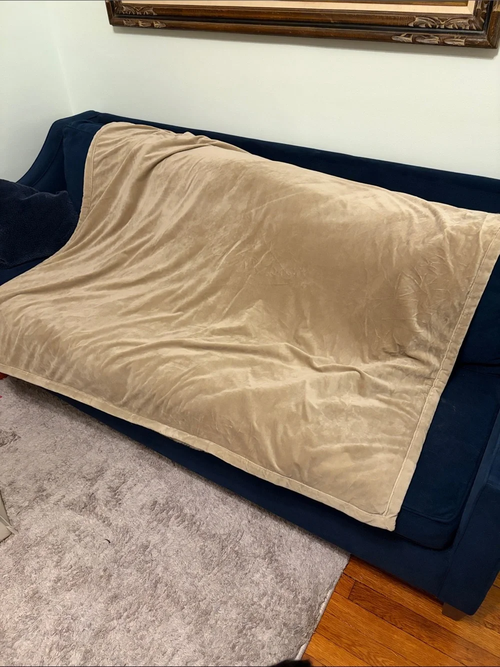 Pottery Barn Faux Fur Throw in Tan with Dark Accents
